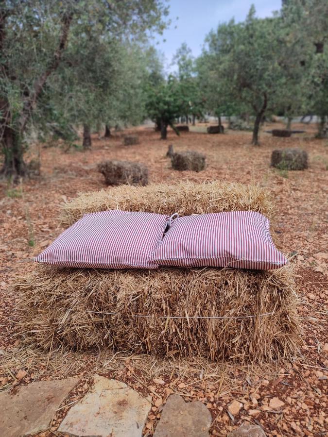 فيلا Porta Sugli Ulivi مونوبولي المظهر الخارجي الصورة